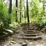 Steps near Lorna Pass (394808)