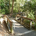 Timber boardwalk into Wildlife Exhibit at Blackbutt Reserve (399370)