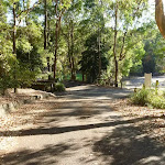 Close to an intersection at the Carnley Reserve car park and Wildlife Exhibits entrance in Blackbutt Reserve (399403)