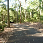Sealed trail going downhill in the Blackbutt Reserve (399433)