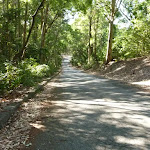 Road down to the end of Lookout Road in Blackbutt Reserve (399904)