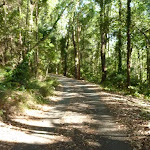 Trail on a sunny day in Blackbutt Reserve  (399949)