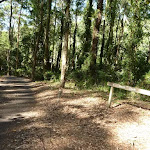 Sign and trail going downhill close to Carnley Reserve in the Blackbutt Reserve (400087)