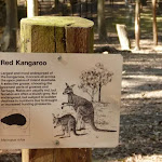 'Red Kangaroo' sign at Carnley Ave Reserve (400183)