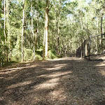 Trail and metal ring fence near Carnley Ave Reserve in Blackbutt Reserve (400198)