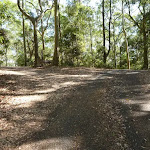 Intersection near Carnley Ave Reserve in Blackbutt Reserve (400213)