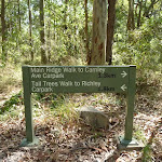 Sign on the Main Ridge Walk in the Blackbutt Reserve (400333)
