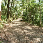 Trail in Blackbutt Reserve and near Lookout Road (400516)