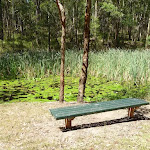Seating bench at Lily Pond Picnic Area in Blackbutt Reserve (401140)
