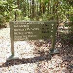 Detailed sign on the Tall Trees walk in Blackbutt Reserve (401341)