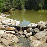 Large pond with outlet at Richley Reserve in Blackbutt Reserve (401530)
