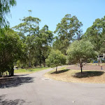 Wide sealed trails at Richley Reserve in Blackbutt Reserve (401536)