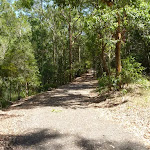 Trail by pond in Richley Reserve in Blackbutt Reserve (401629)