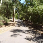 Wide trail at Richley Reserve in Blackbutt Reserve (401689)