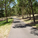 Trail through open trees at Richley Reserve (401692)