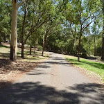 Sealed trail in Richley Reserve in Blackbutt Reserve (401698)