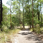 Trail to a clearing in Blackbutt Reserve (401935)