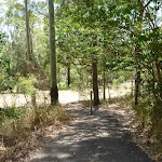 Sealed footpath down to large grassy clearing in Richley Reserve (401938)