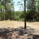 Large grassy clearing looking to the north in Richley Reserve (401944)