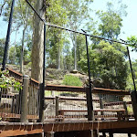 Boardwalk and fencing at the Wildlife Exhibits at Carnley Ave Reserve (402004)