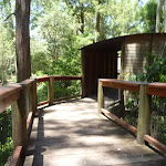 Elevated boardwalk on the Wildlife Exhibits at Carnley Ave Reserve (402079)