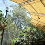 Large aviary at the Wildlife Exhibits at Carnley Ave Reserve in Blackbutt Reserve  (402151)