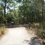 Forested track intersection in Green Point Reserve  (402859)