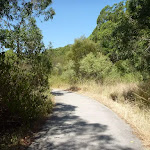 Footpath near Green Point Drive in Green Point Reserve (402868)