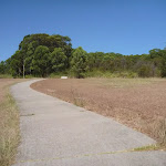 Walking through Green Point Reserve (402916)