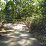 Zig Zag trail in Green Point Reserve (403258)