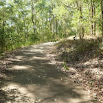 Sealed Trail in Green Point Reserve near Lake Macquarie (403294)