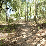 Track upto houses in Green Point Reserve (403696)