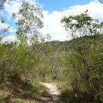 Six Foot Track east of the Coxs River (413489)