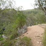 Six Foot track on the east side of the Coxs River (413546)