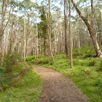 Six Foot Track west of Black Range Camping Ground (417179)