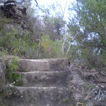 Stairs on track to Lillian's Glen (41871)