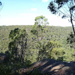 View from near the top of Berowra Track (419035)