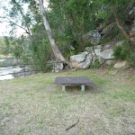 Picnic area on the north side of Apple Tree Bay (421027)