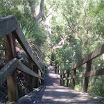 Top of the Casuarina Steps (43333)