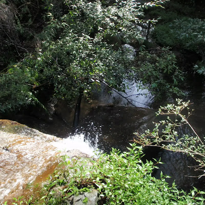 thum image