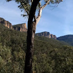 View from Pierces Pass Track (50405)
