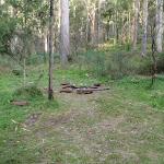 One of many campsites on the Grose River (50522)