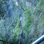 Track down to Govetts Leap falls (51137)