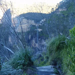 Track towards Bridal Veil Falls (51191)