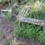 Signage on Grose River Track (52331)
