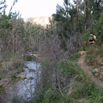 Track on hillside above Grose River (52364)