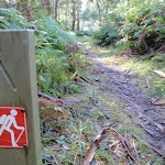 GWN arrow post near the northern Mooney Mooney Creek campsite (54008)