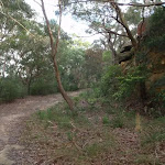 Service trail to Booraba Ave (54491)