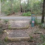 Arrow markers across management trail (54521)