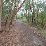 Track down to Thistlethwaite picnic area (54551)